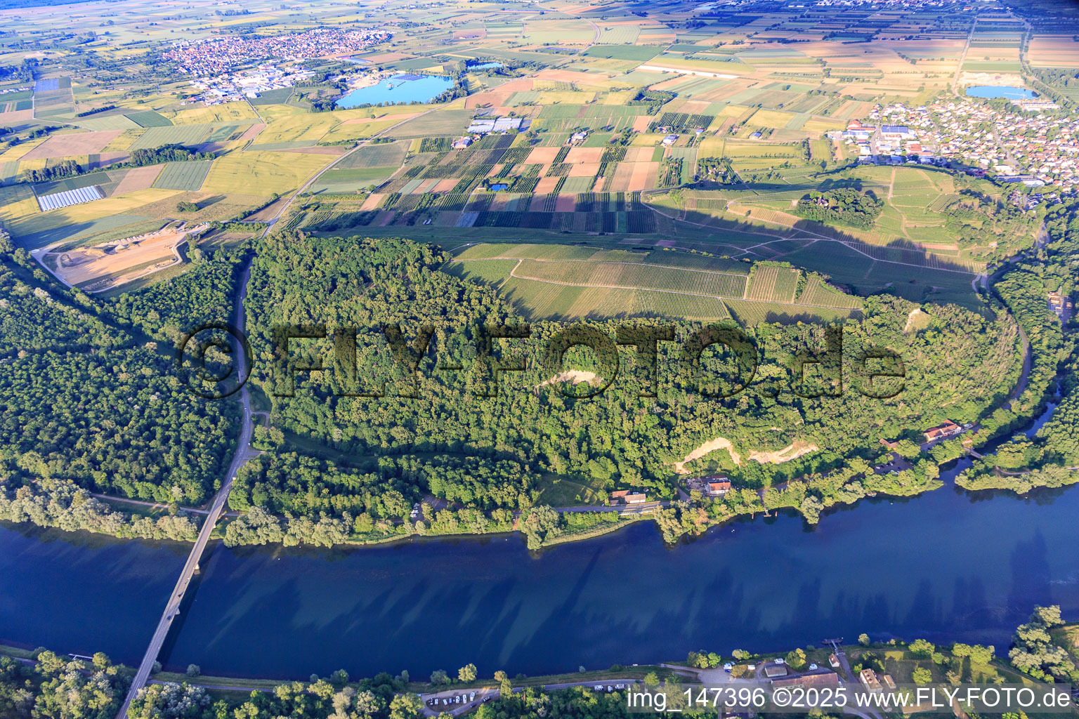 Landschaftschutzgebiet Limberg am Rhein in Sasbach am Kaiserstuhl im Bundesland Baden-Württemberg, Deutschland