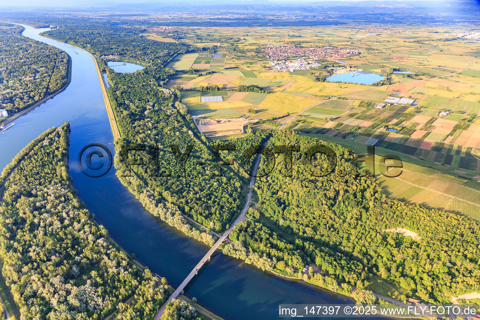 Rheinbrücke und Spitze der Rheininsel zwischen Kanal und Rhein in Sasbach am Kaiserstuhl im Bundesland Baden-Württemberg, Deutschland