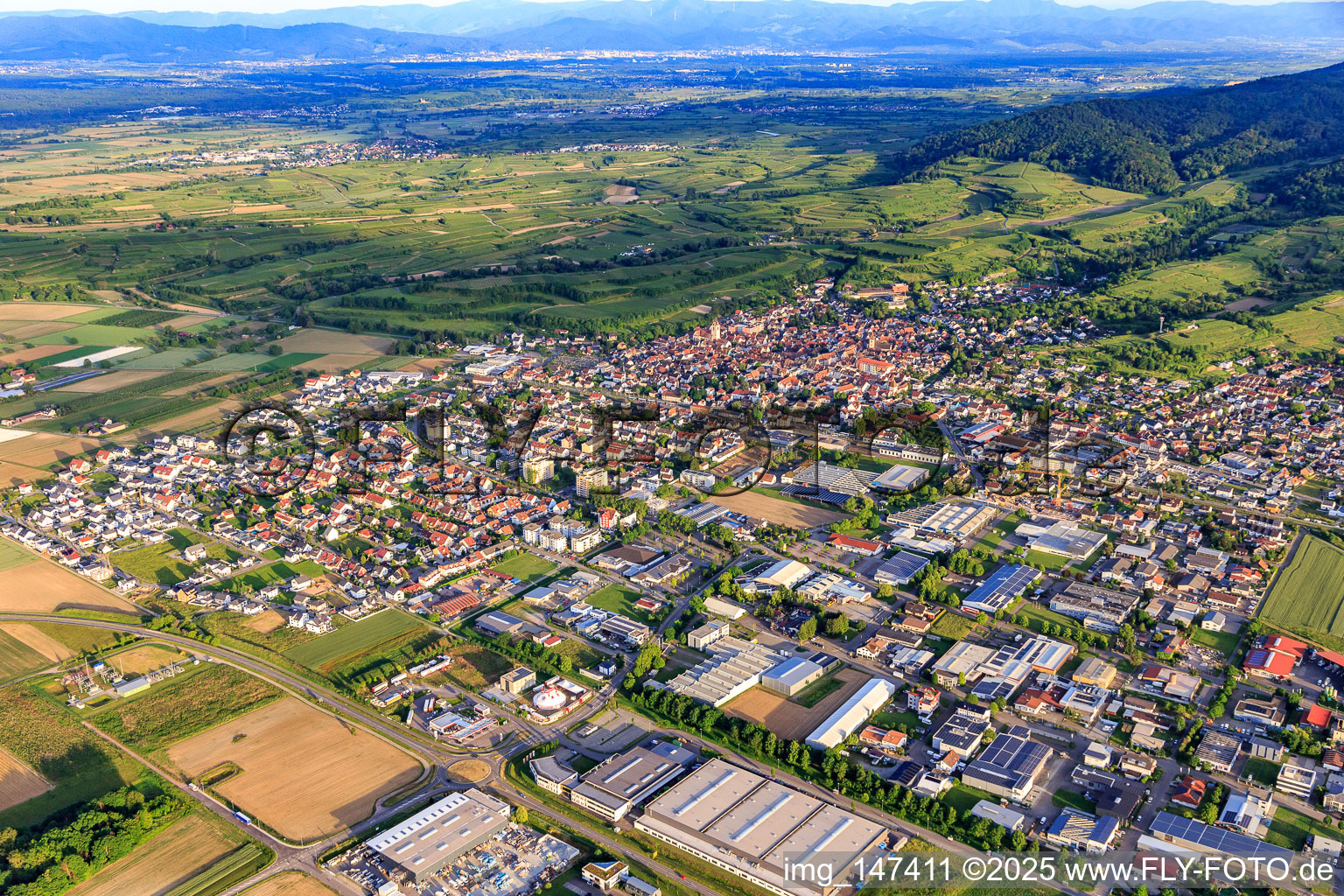Stadtansicht aus Nordwesten in Endingen am Kaiserstuhl im Bundesland Baden-Württemberg, Deutschland