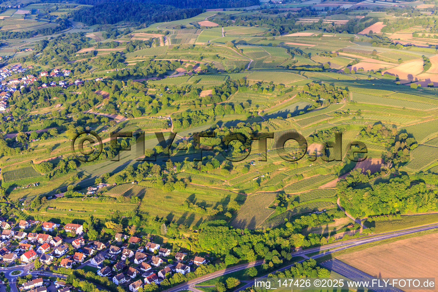 Weinbergslandschaft im Abendlicht in Malterdingen im Bundesland Baden-Württemberg, Deutschland