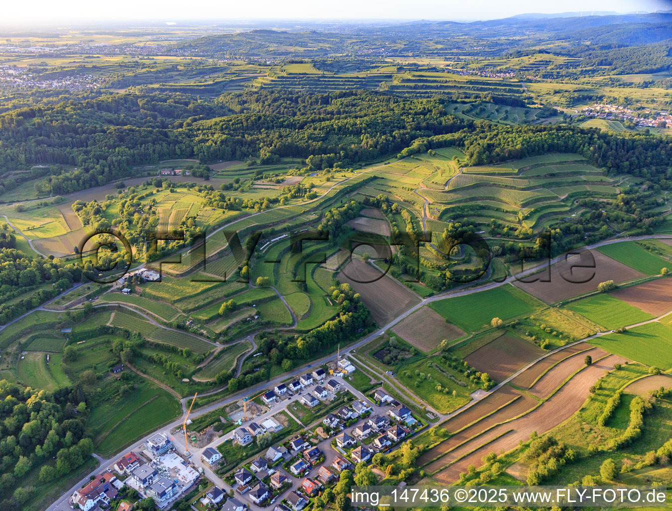 Luftbild von Terassierte Weinberge in Malterdingen im Bundesland Baden-Württemberg, Deutschland