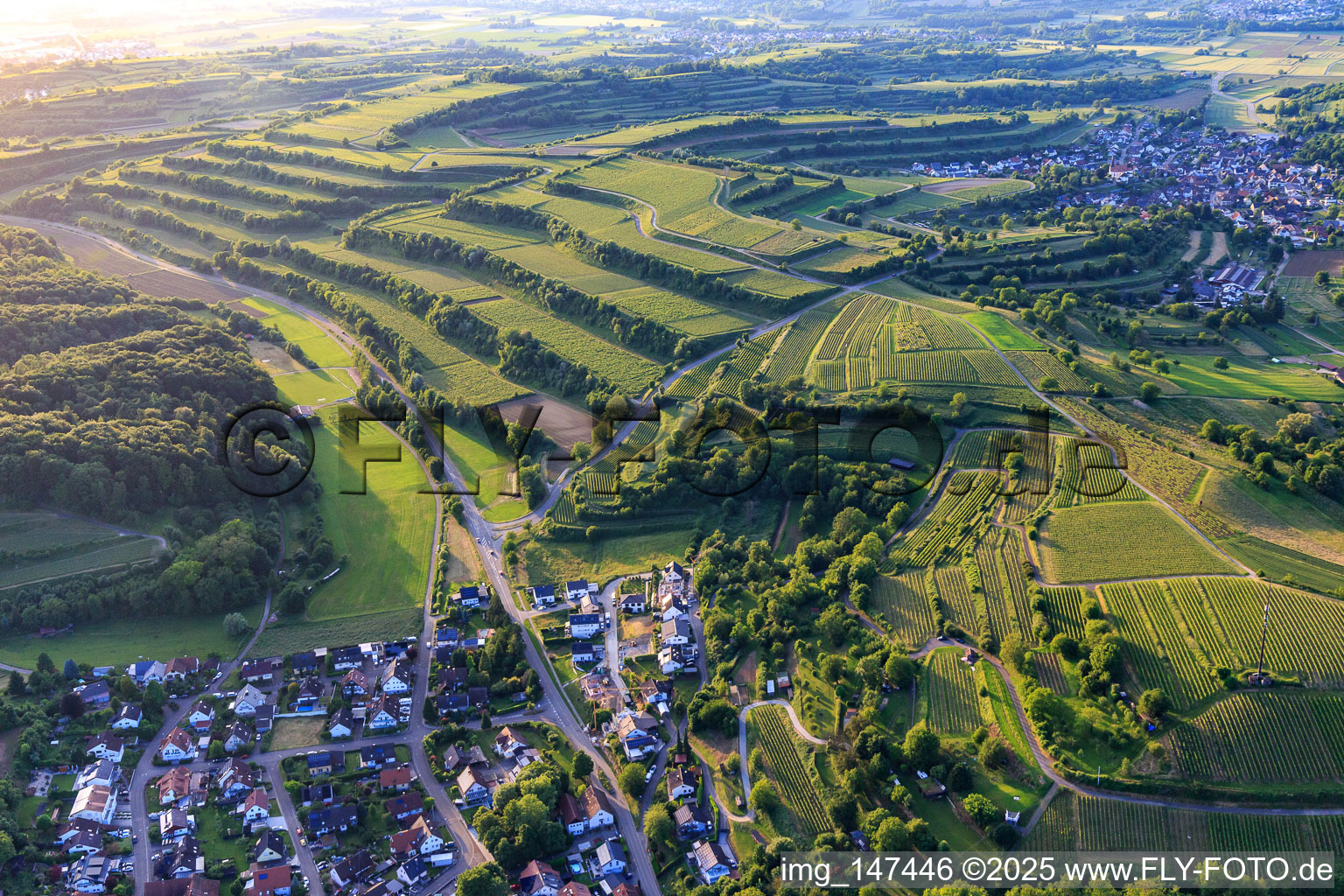 Terassierte Weinberge im Ortsteil Bombach in Kenzingen im Bundesland Baden-Württemberg, Deutschland