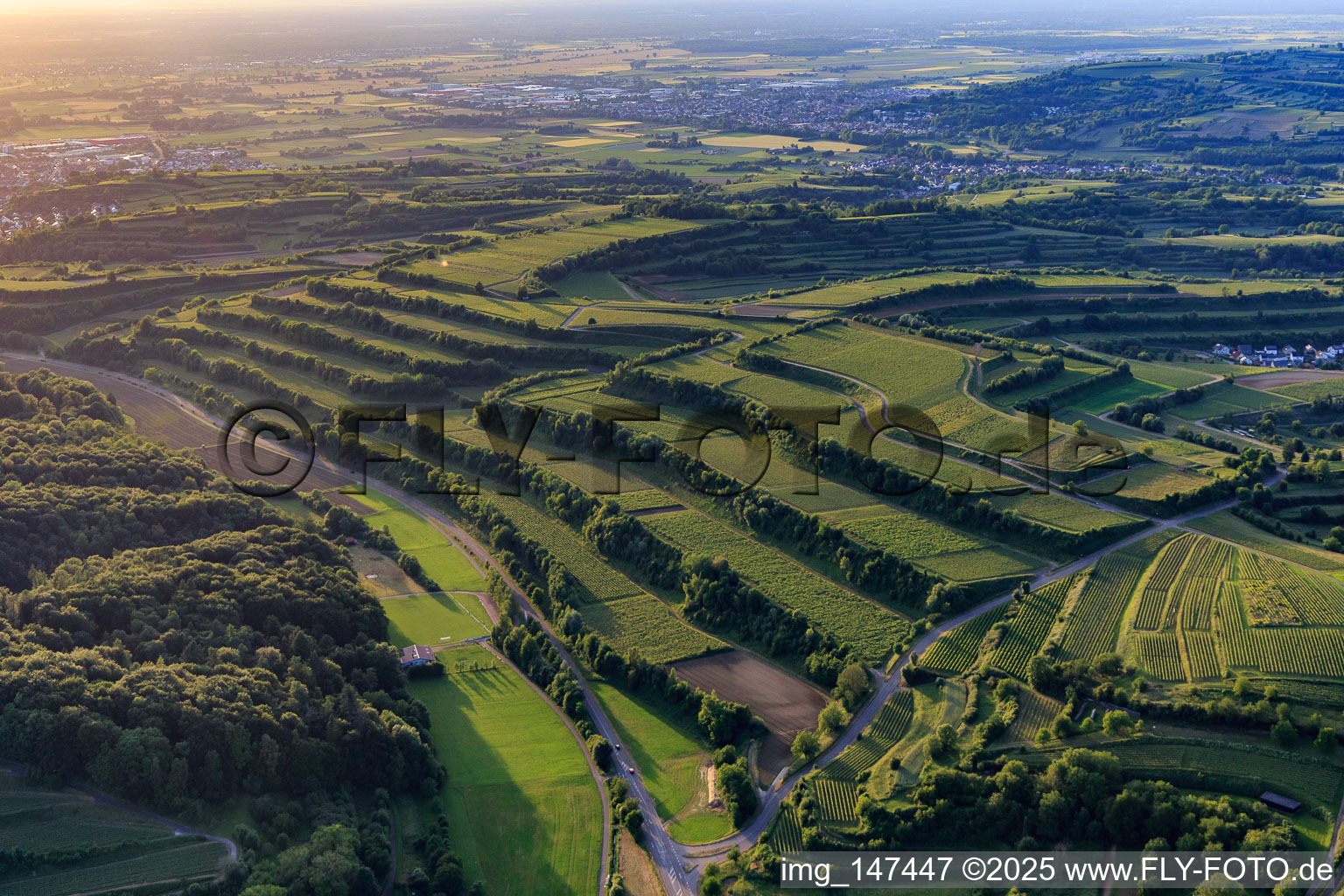 Luftbild von Terassierte Weinberge im Ortsteil Bombach in Kenzingen im Bundesland Baden-Württemberg, Deutschland