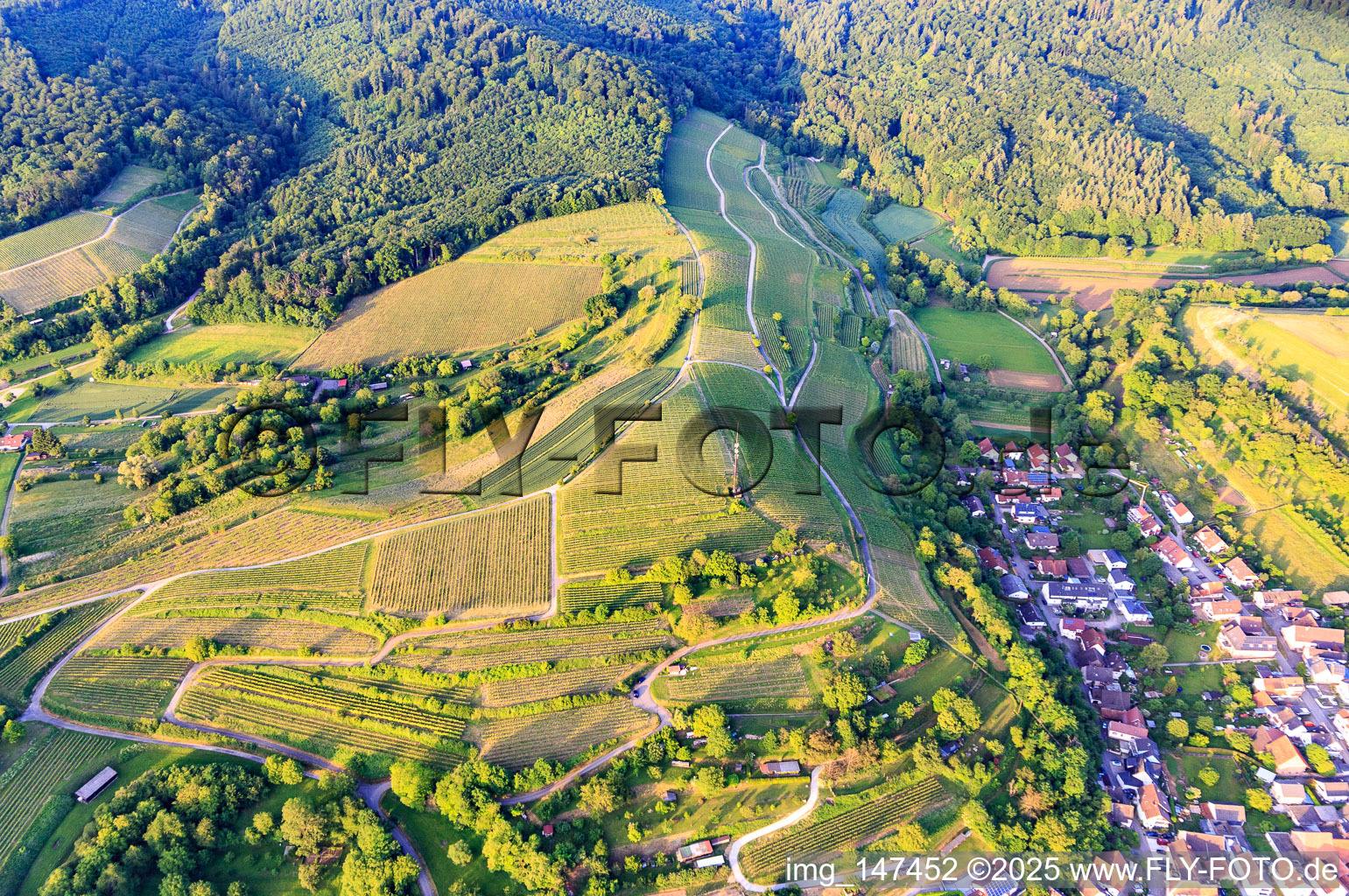 Mobilfunkmast auf dem Weinberg im Ortsteil Bombach in Kenzingen im Bundesland Baden-Württemberg, Deutschland