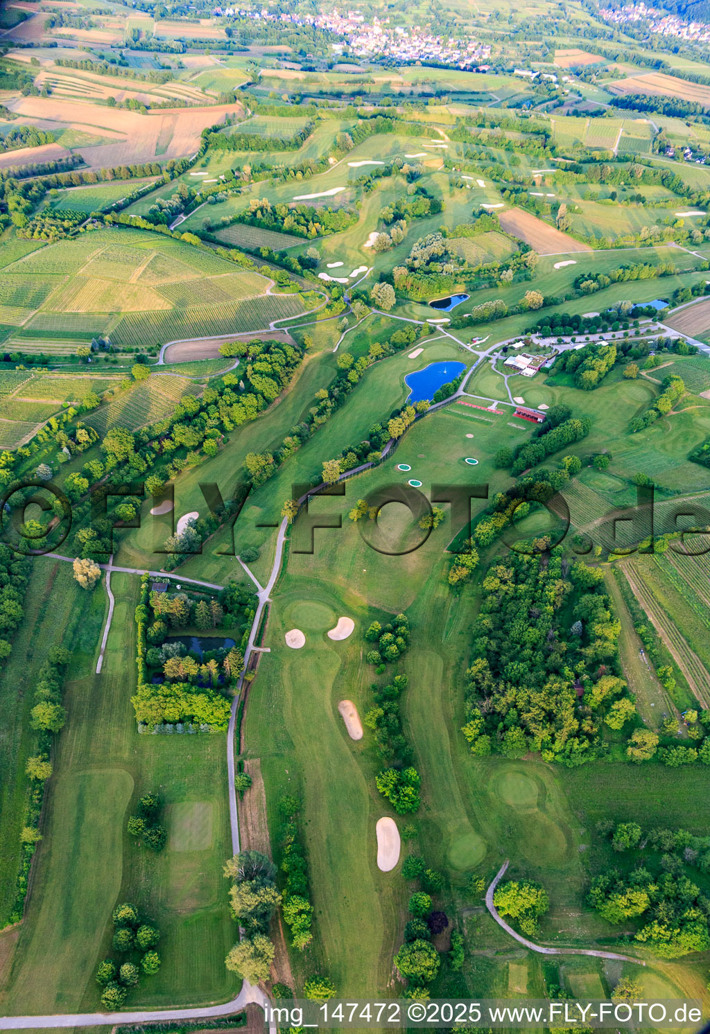 Schrägluftbild von Europa-Park Golfclub Breisgau im Ortsteil Tutschfelden in Herbolzheim im Bundesland Baden-Württemberg, Deutschland