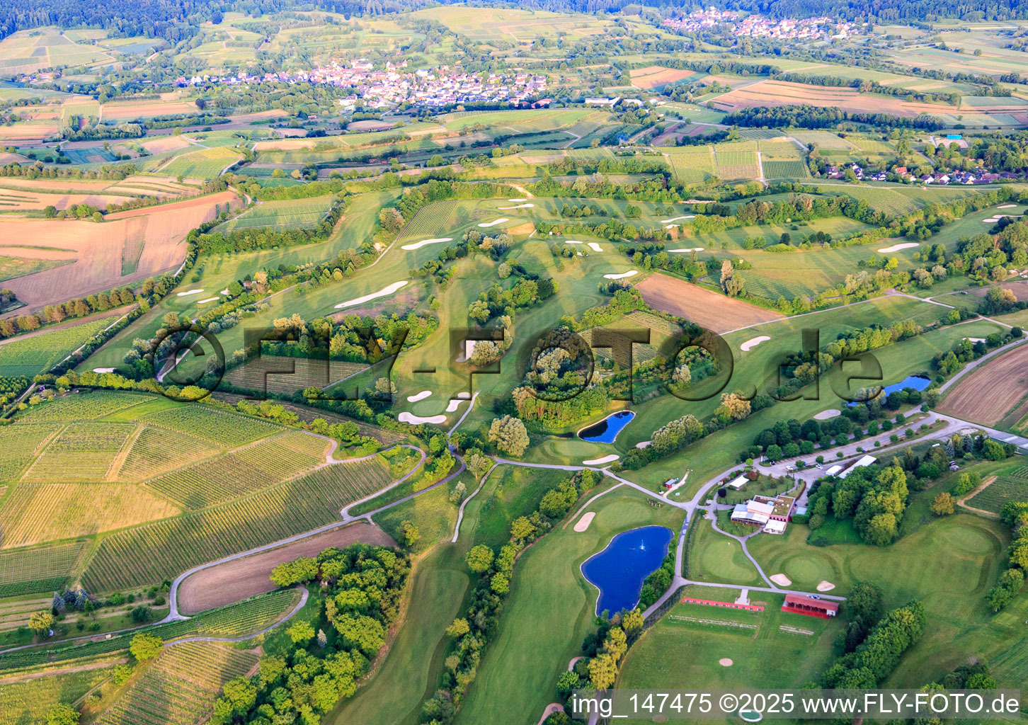 Luftbild von Europa-Park Golfclub Breisgau mit  Rebland das Restaurant im Ortsteil Tutschfelden in Herbolzheim im Bundesland Baden-Württemberg, Deutschland