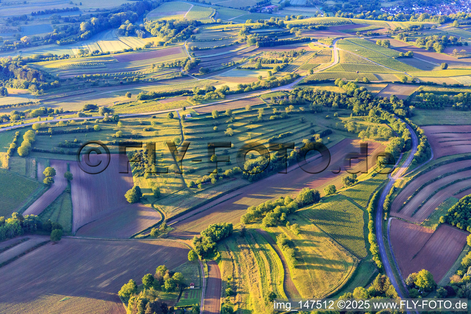 Weinberge, Felder und Wiesen im Ortsteil Ettenheimweiler im Bundesland Baden-Württemberg, Deutschland