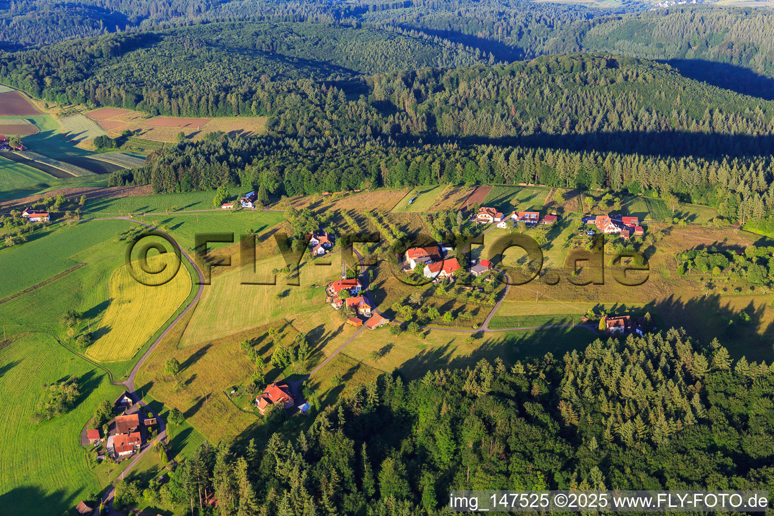 Ortsteil Hohreute im Ortsteil Ottoschwanden in Freiamt im Bundesland Baden-Württemberg, Deutschland