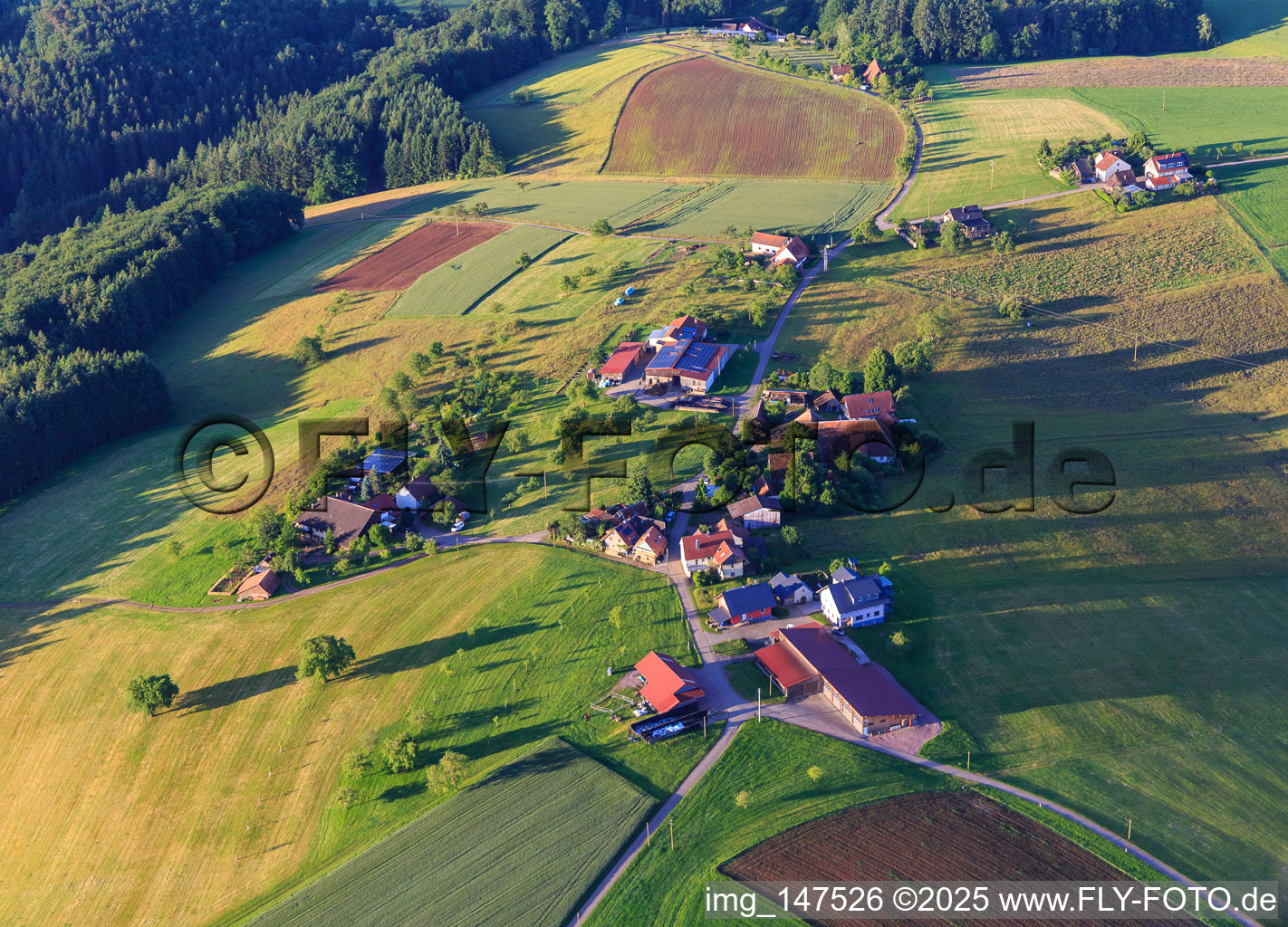 Ortsteil Unterberg im Ortsteil Ottoschwanden in Freiamt im Bundesland Baden-Württemberg, Deutschland