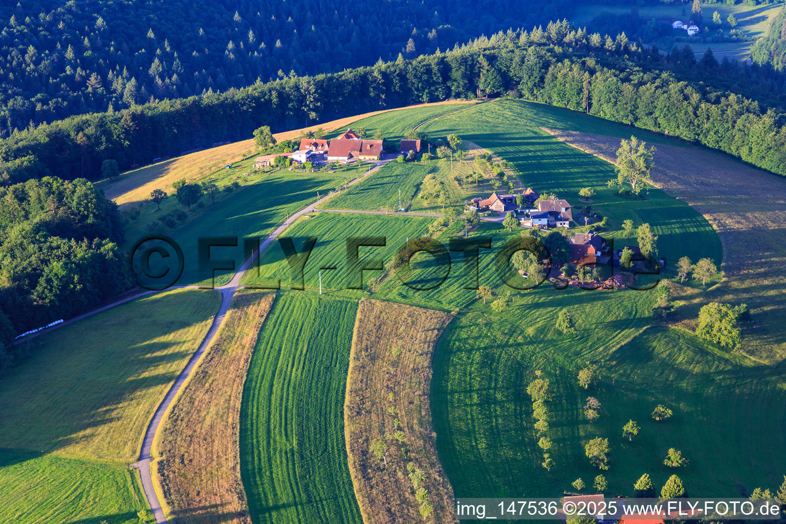 Ferienwohnung im Brennhaus im Ortsteil Reichenbach in Freiamt im Bundesland Baden-Württemberg, Deutschland