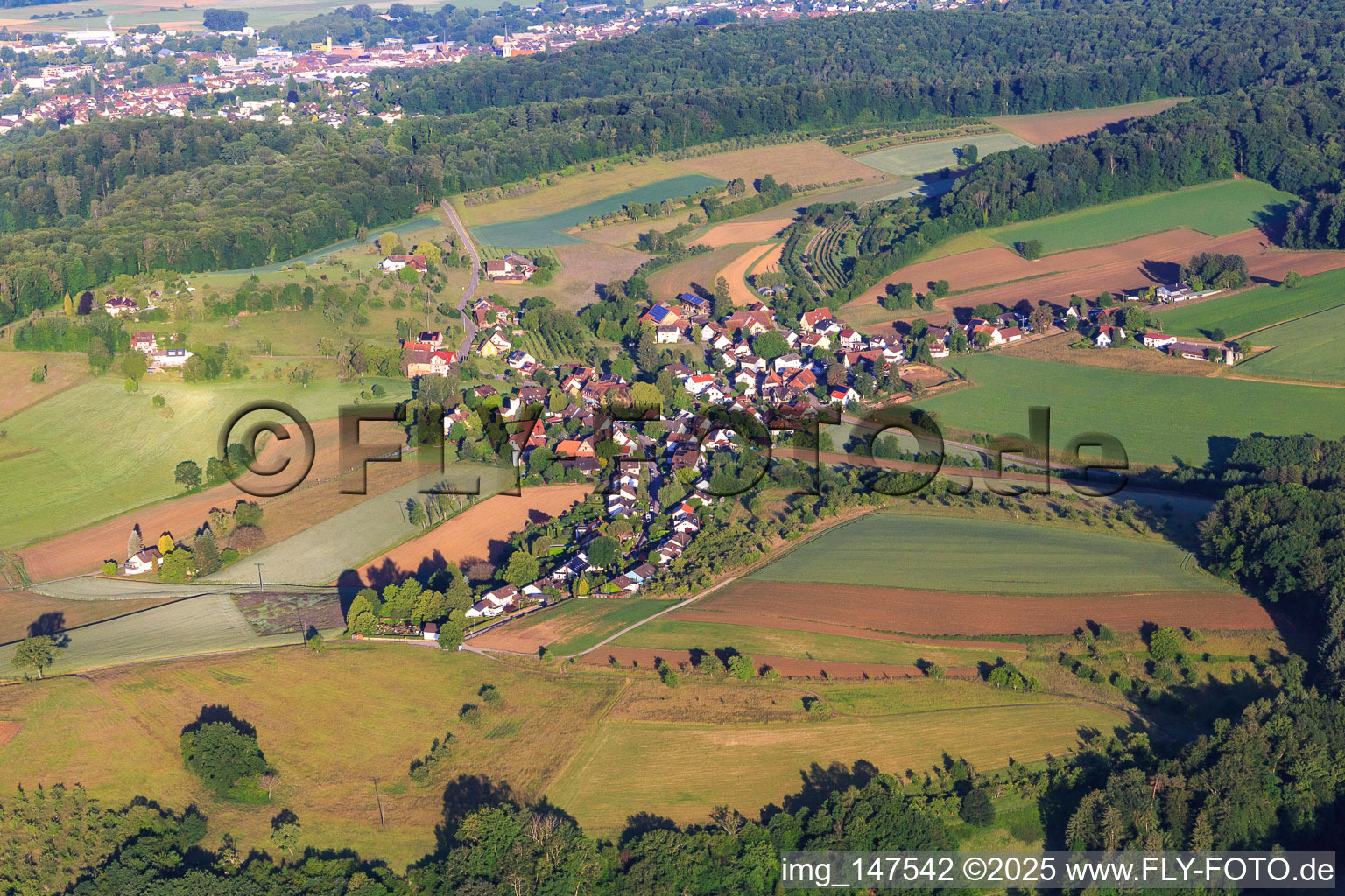 Ortsteil Maleck aus Osten im Ortsteil Windenreute in Emmendingen im Bundesland Baden-Württemberg, Deutschland