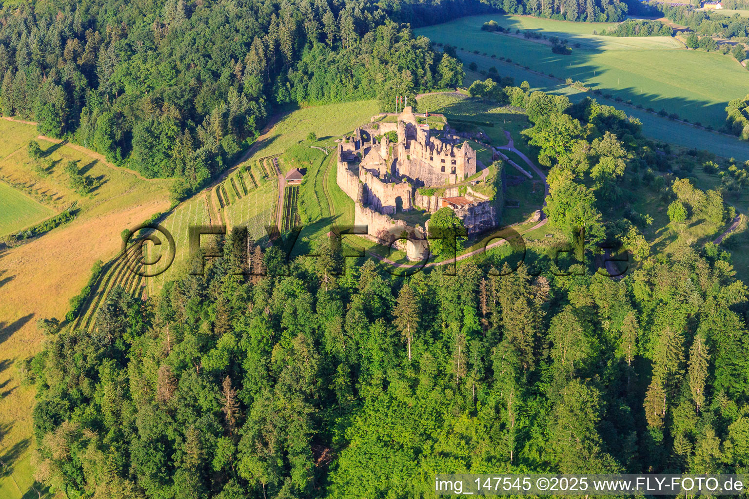 Luftaufnahme von Festungsruine Hochburg bei Emmendingen aus Norden im Ortsteil Windenreute im Bundesland Baden-Württemberg, Deutschland