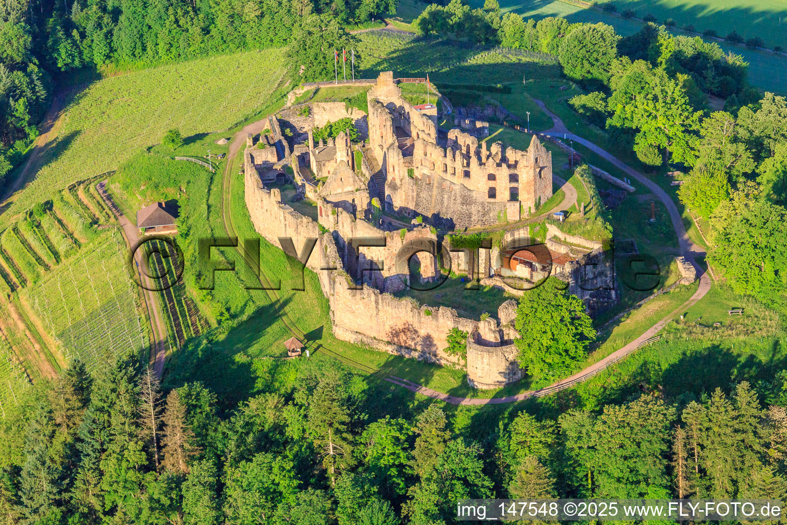 Schrägluftbild von Festungsruine Hochburg bei Emmendingen aus Norden im Ortsteil Windenreute im Bundesland Baden-Württemberg, Deutschland
