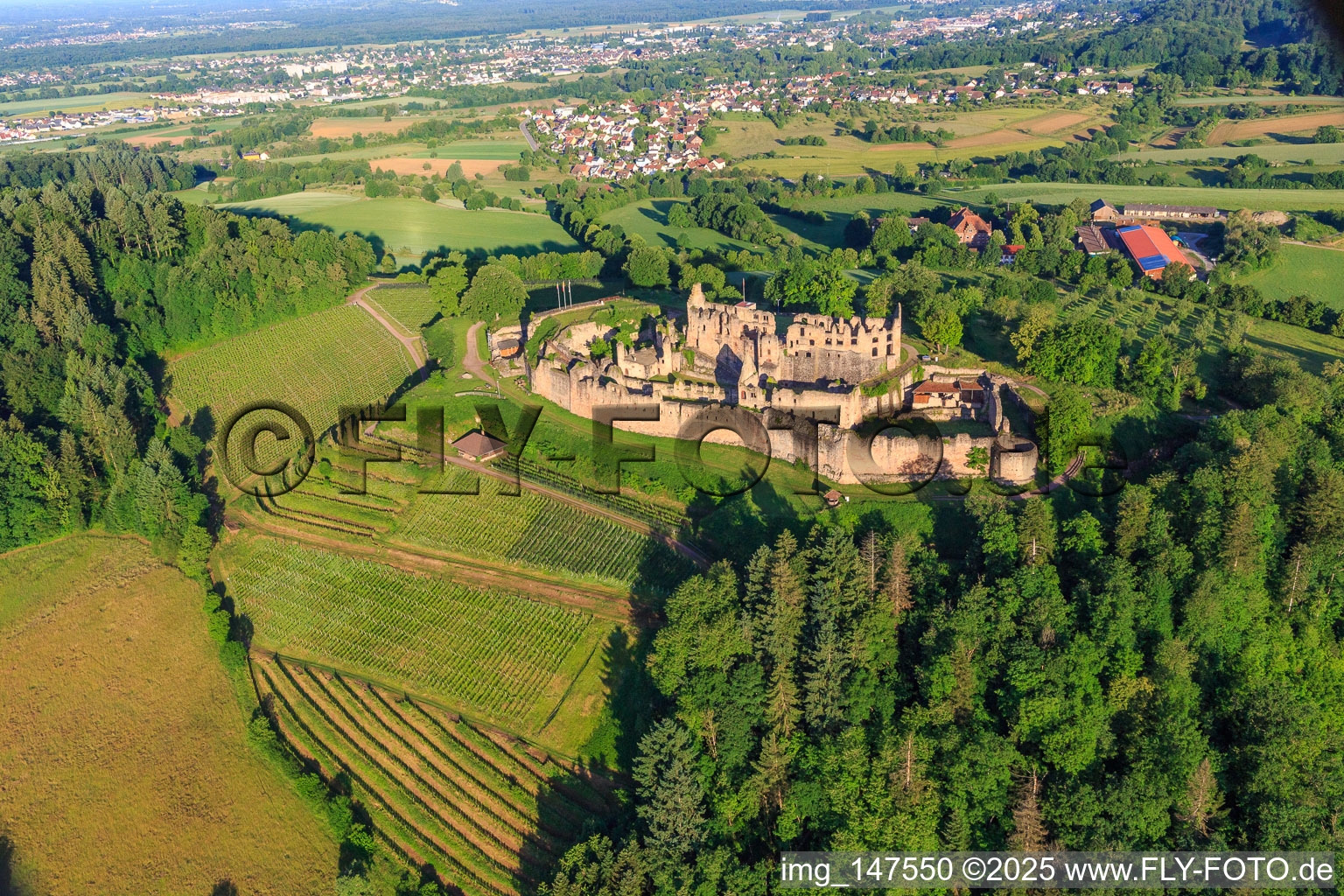 Festungsruine Hochburg bei Emmendingen aus Osten im Ortsteil Windenreute im Bundesland Baden-Württemberg, Deutschland