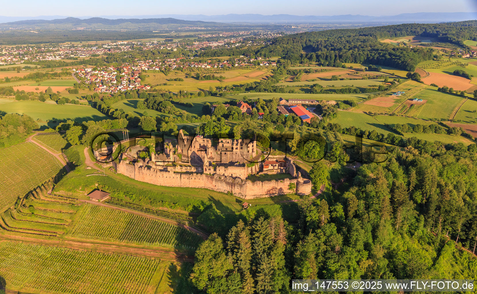 Luftbild von Festungsruine Hochburg bei Emmendingen aus Osten im Ortsteil Windenreute im Bundesland Baden-Württemberg, Deutschland