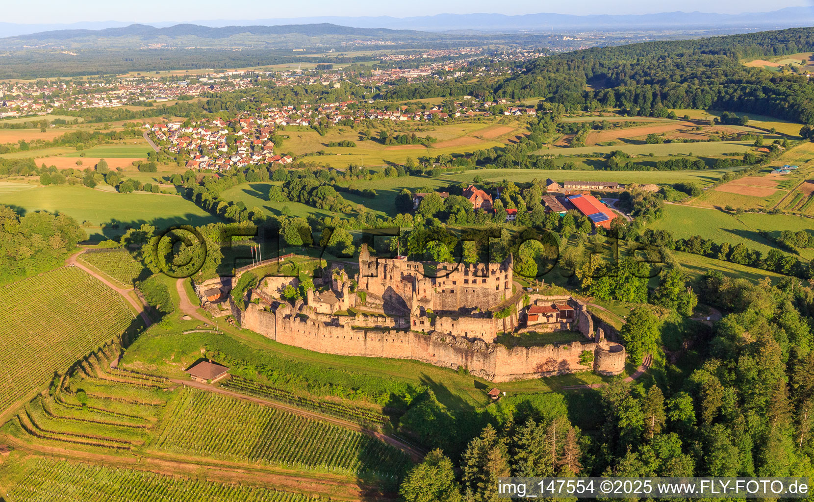 Luftaufnahme von Festungsruine Hochburg bei Emmendingen aus Osten im Ortsteil Windenreute im Bundesland Baden-Württemberg, Deutschland