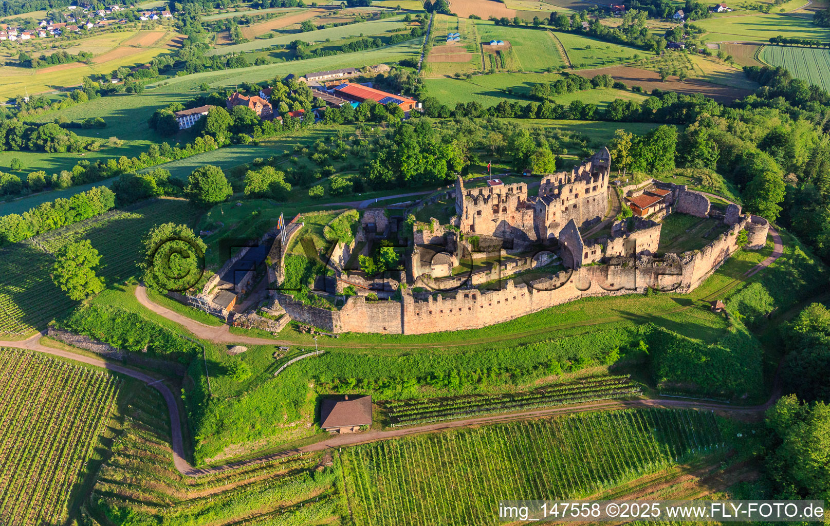 Schrägluftbild von Festungsruine Hochburg bei Emmendingen aus Osten im Ortsteil Windenreute im Bundesland Baden-Württemberg, Deutschland