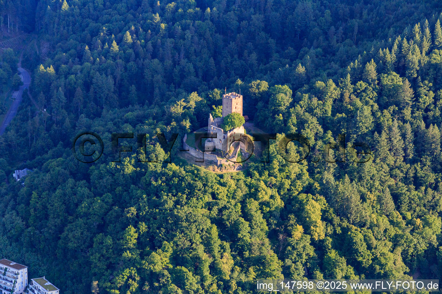 Luftbild von Ruine Kastelburg in Waldkirch im Bundesland Baden-Württemberg, Deutschland