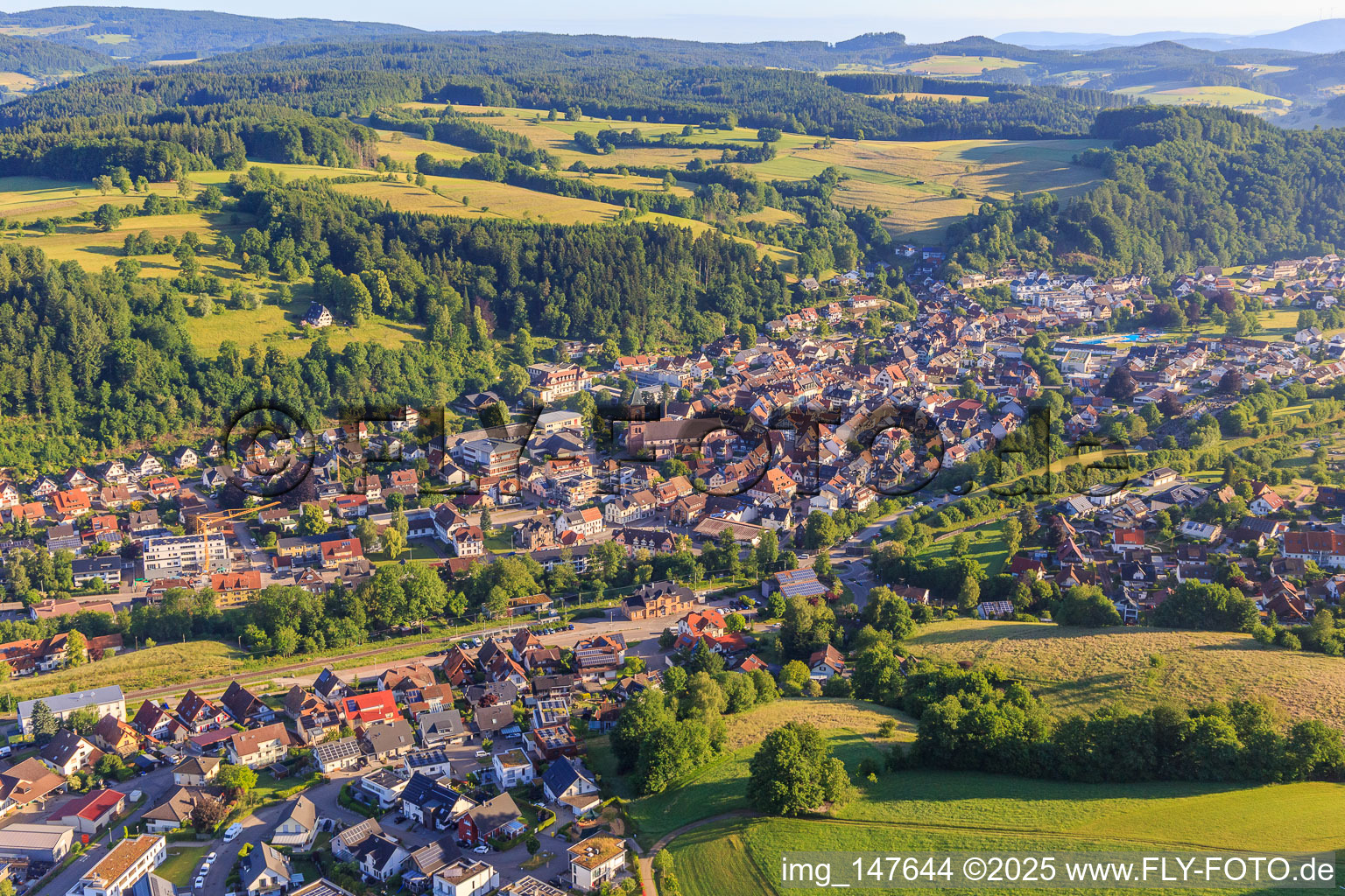 Ortsansicht aus Südosten in Elzach im Bundesland Baden-Württemberg, Deutschland