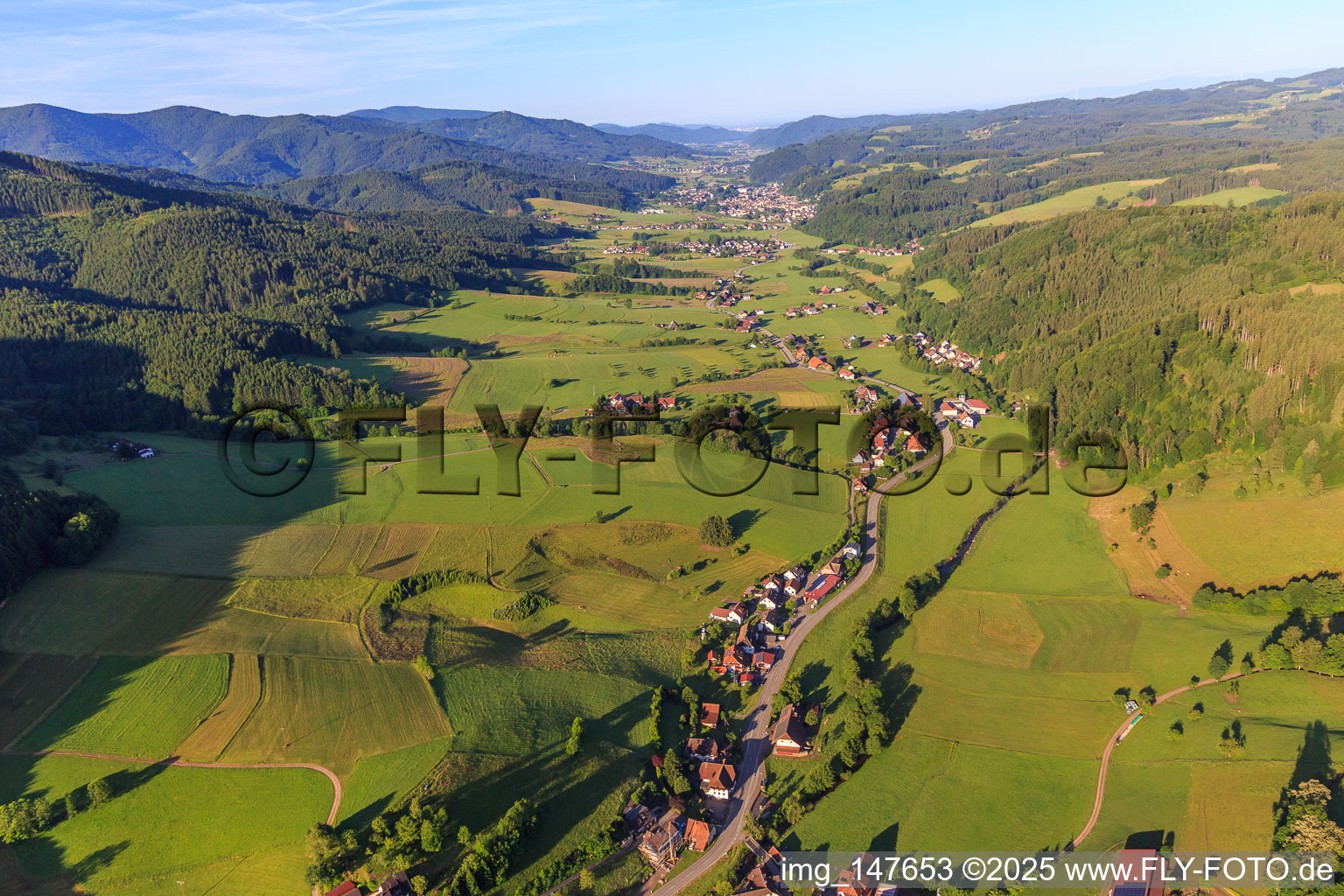Elztal aus Nordosten im Ortsteil Unterprechtal in Elzach im Bundesland Baden-Württemberg, Deutschland