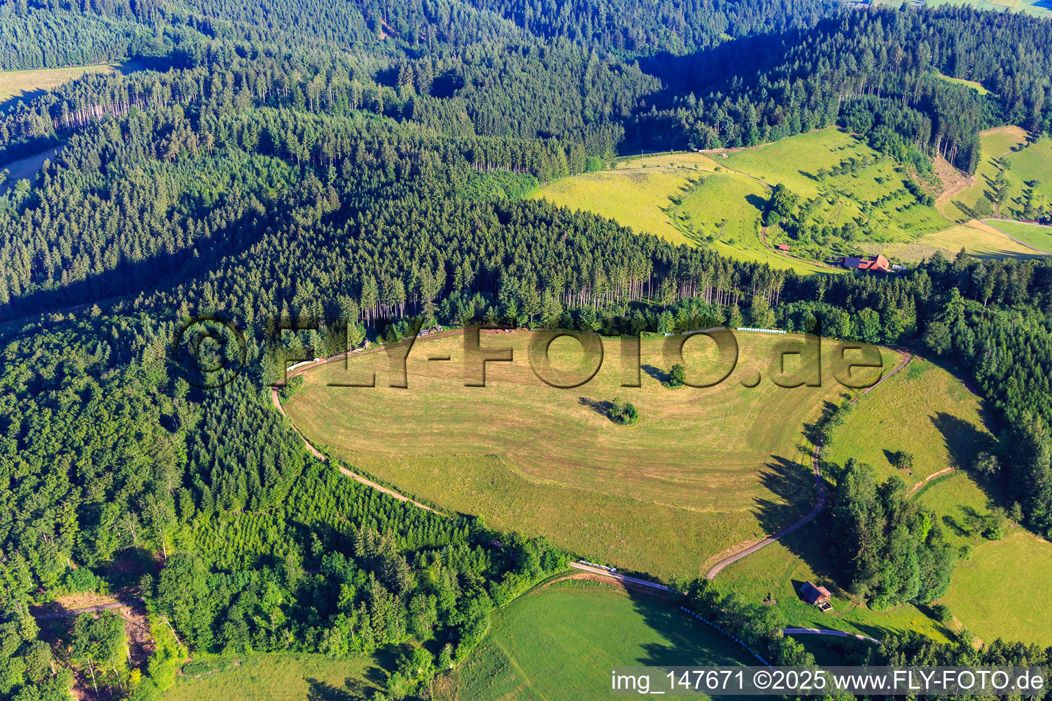 Gemähte Matte im Nordschwarzwald in Mühlenbach im Bundesland Baden-Württemberg, Deutschland