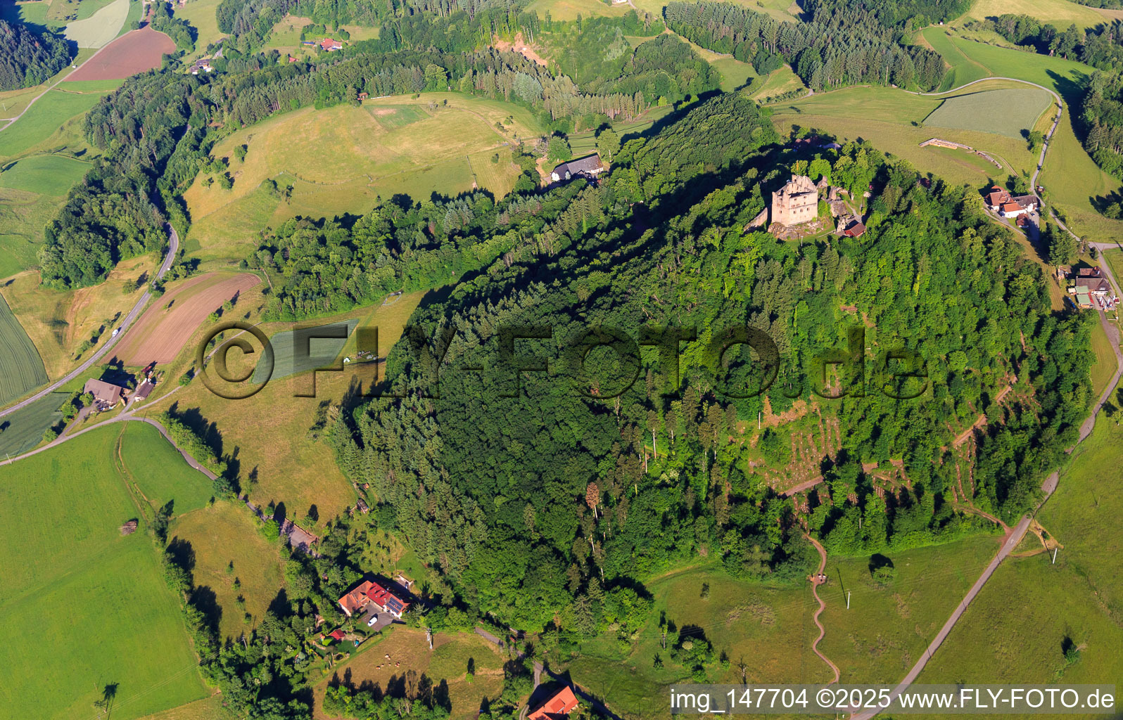 Schrägluftbild von Burgruine Hohengeroldseck auf dem Schloßberg von Süden in Seelbach im Bundesland Baden-Württemberg, Deutschland