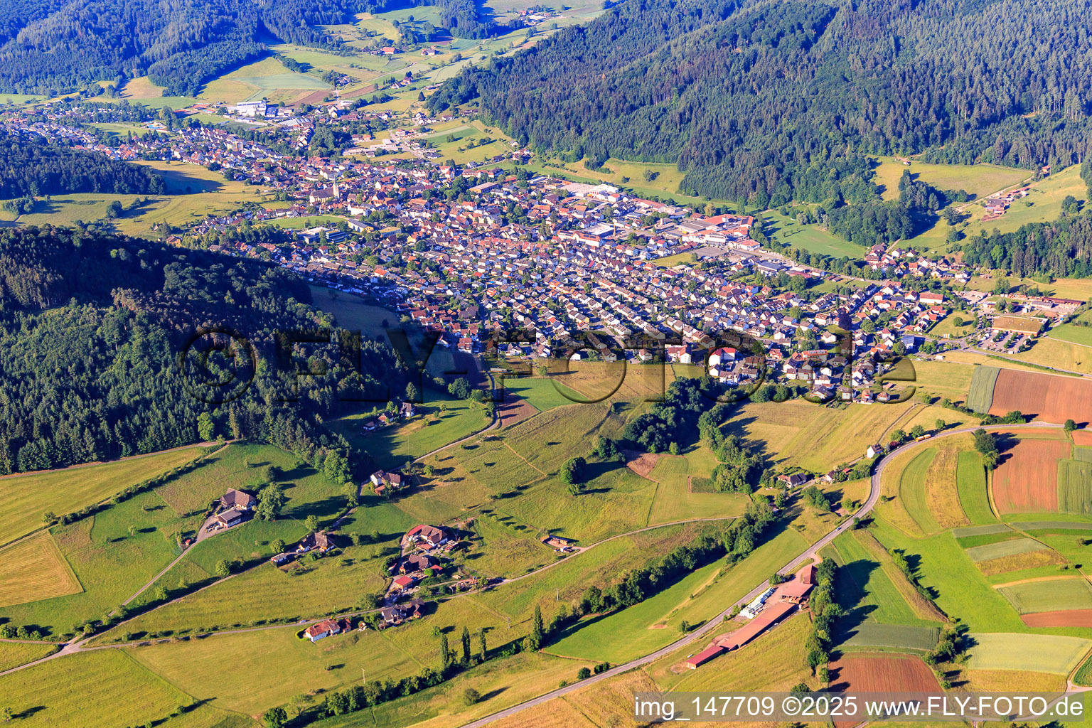 Ortsansicht im Schuttertal aus Norden in Seelbach im Bundesland Baden-Württemberg, Deutschland