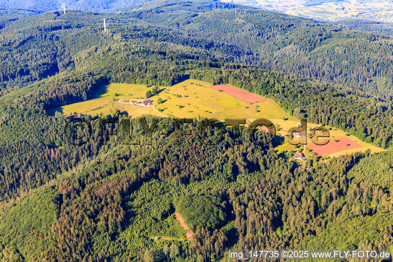Hasenberg in Seelbach im Bundesland Baden-Württemberg, Deutschland