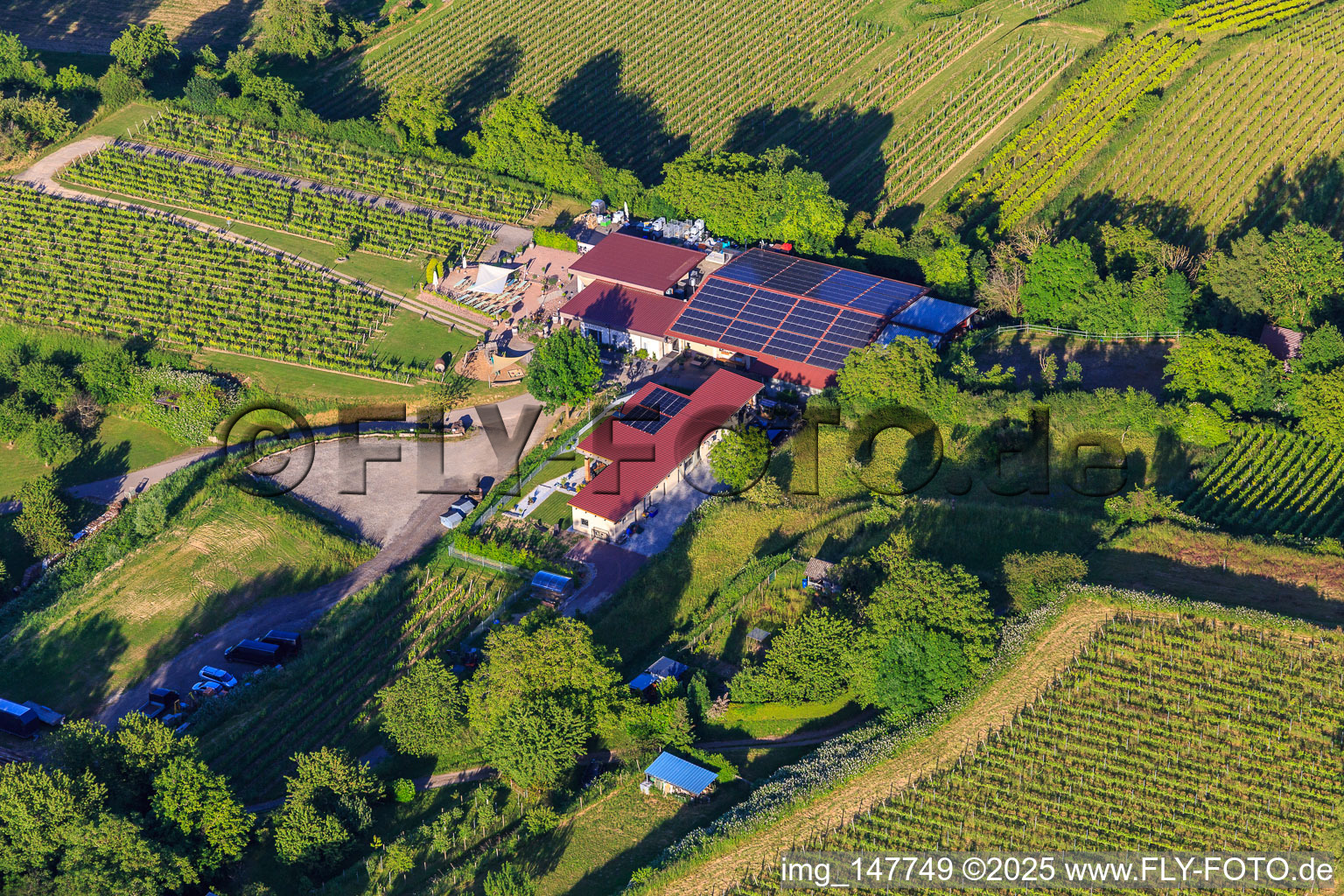 Weingut A. Bieselin in Ettenheim im Bundesland Baden-Württemberg, Deutschland