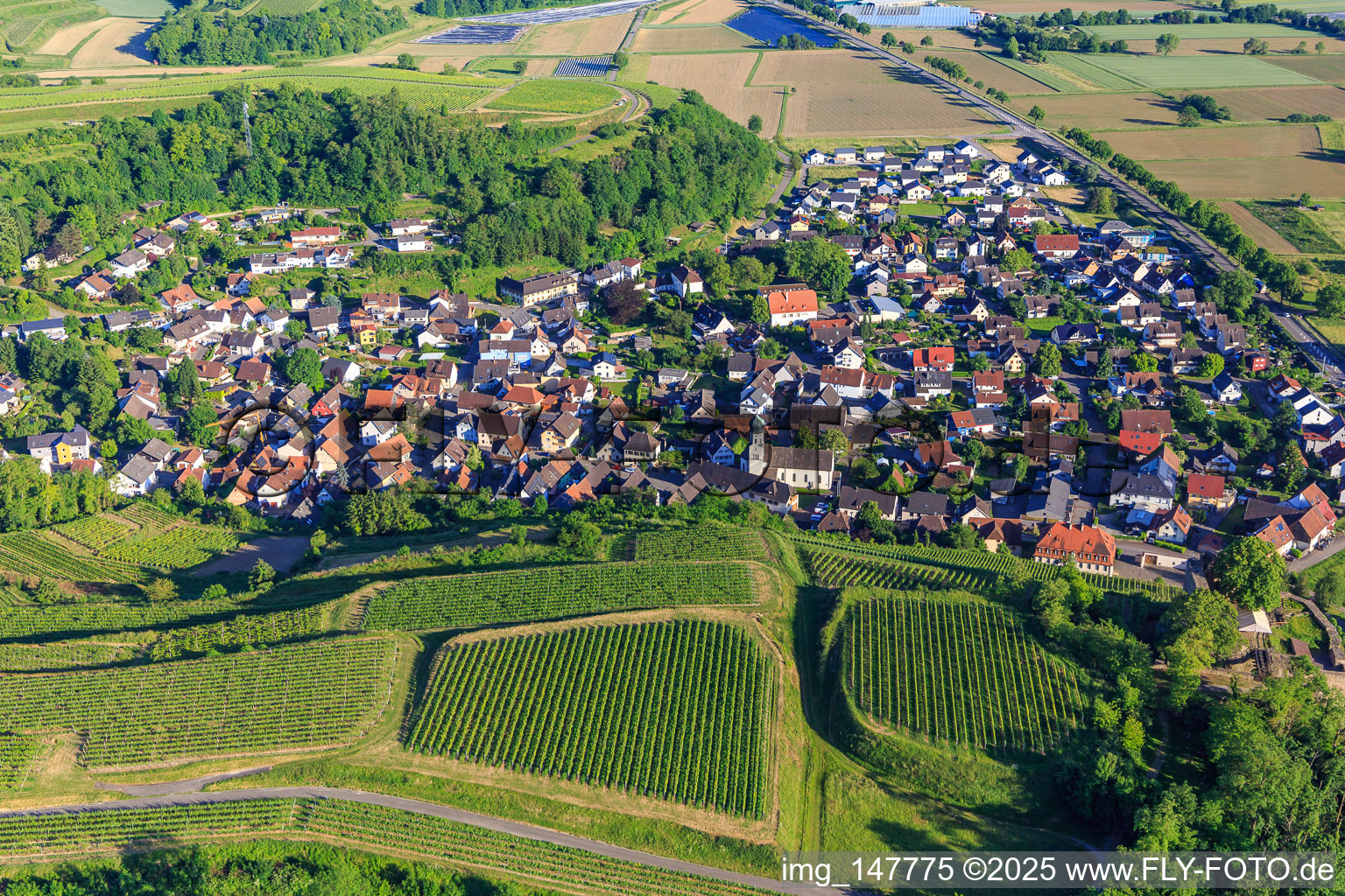 Winzerdorf zu Füßen din Weinbergen aus Norden im Ortsteil Hecklingen in Kenzingen im Bundesland Baden-Württemberg, Deutschland