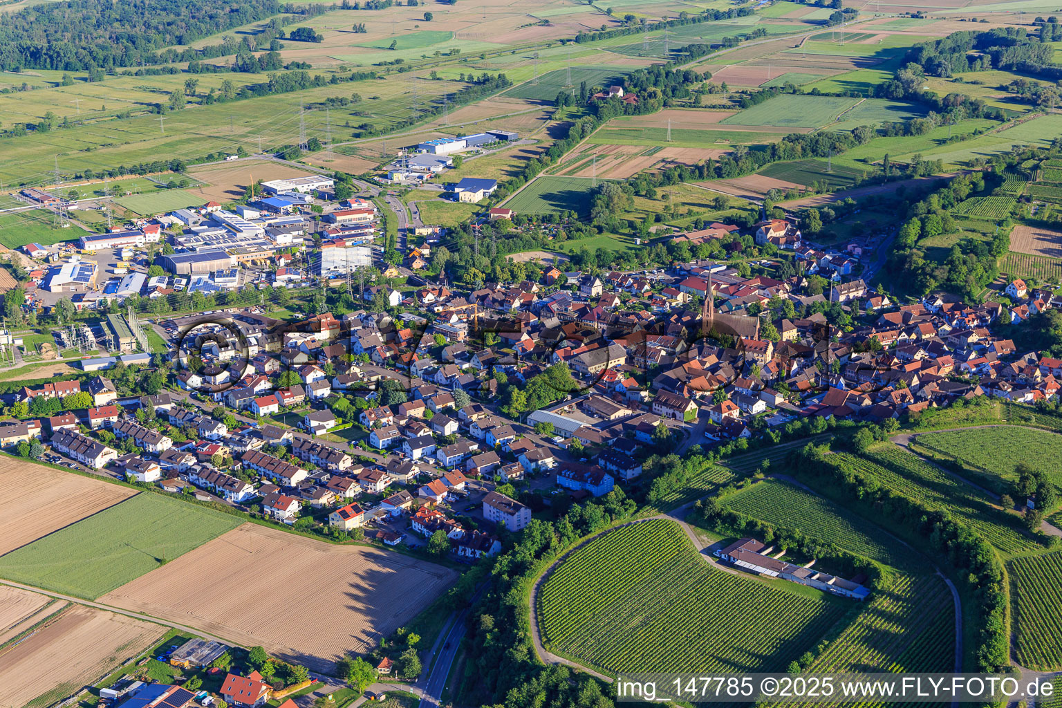 Ortsansicht aus Norden in Eichstetten am Kaiserstuhl im Bundesland Baden-Württemberg, Deutschland