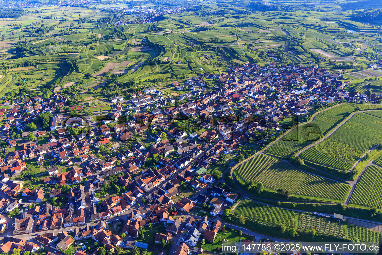 Luftbild von Ortsansicht aus Norden in Eichstetten am Kaiserstuhl im Bundesland Baden-Württemberg, Deutschland