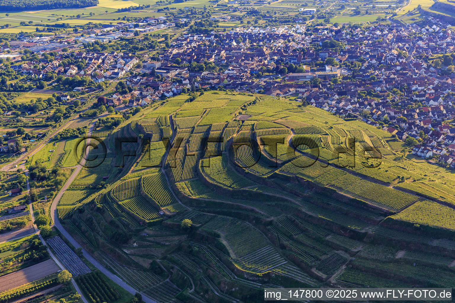 Luftbild von Terassierte Weinberge im südlichen Kaiserstuhl im Ortsteil Wasenweiler in Ihringen im Bundesland Baden-Württemberg, Deutschland