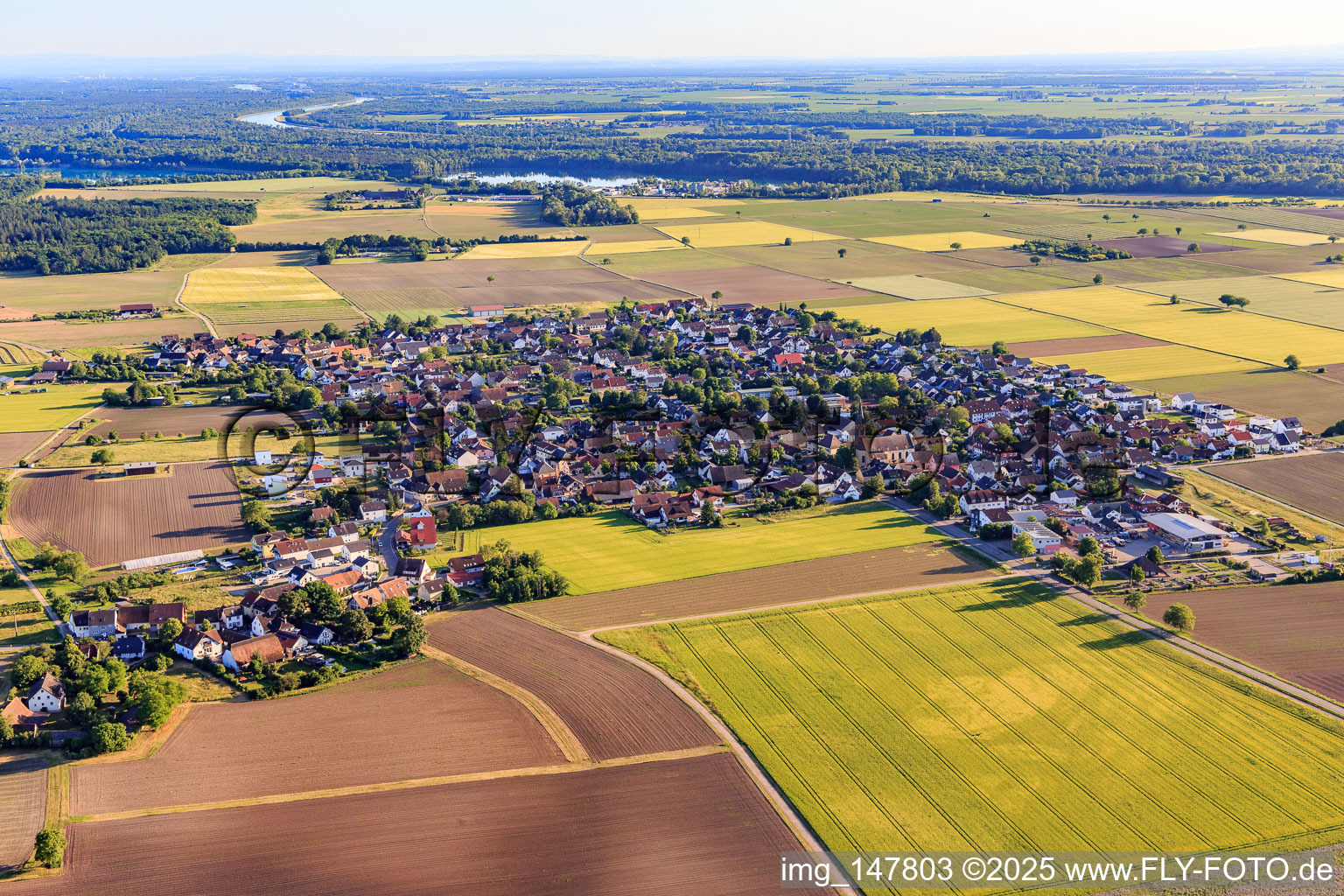 Dorfansicht von Norden im Ortsteil Gündlingen in Breisach am Rhein im Bundesland Baden-Württemberg, Deutschland