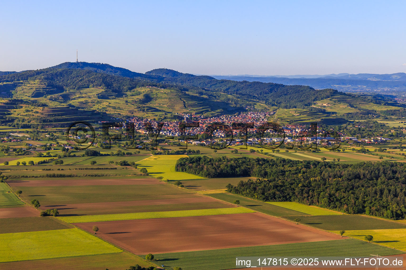 Winzerdorf am Kaiserstuhl aus Süden in Ihringen im Bundesland Baden-Württemberg, Deutschland