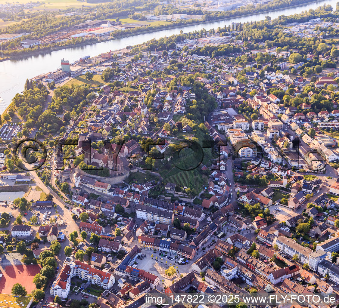 Breisacher Münster St. Stephan in Breisach am Rhein im Bundesland Baden-Württemberg, Deutschland