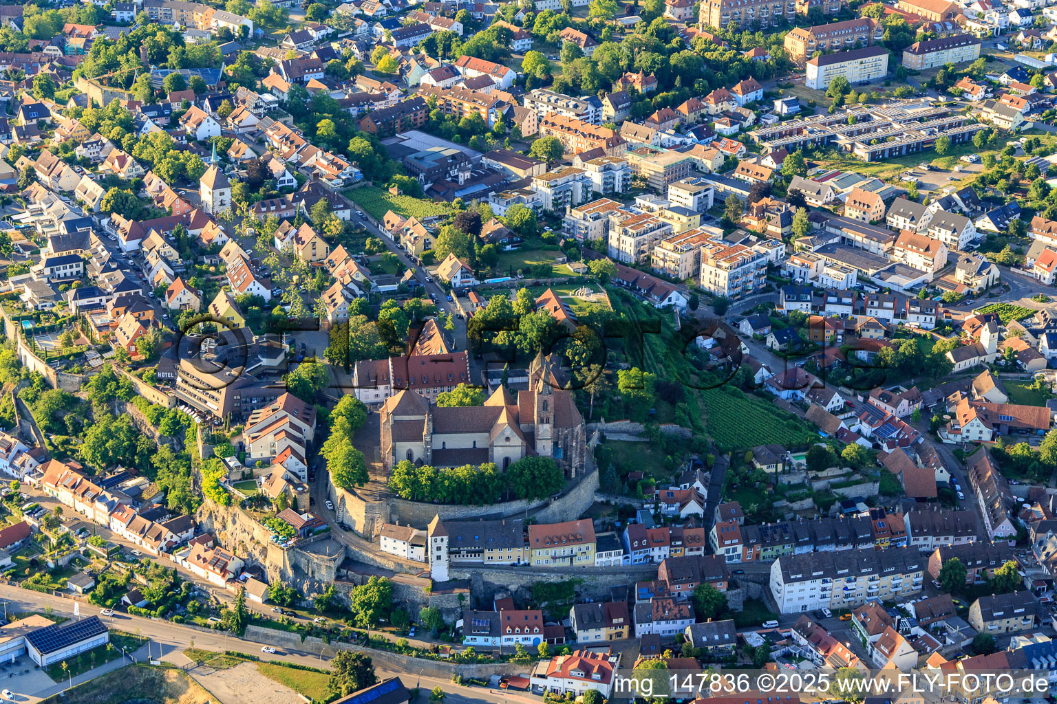 Breisacher Münster St. Stephan von Westen in Breisach am Rhein im Bundesland Baden-Württemberg, Deutschland