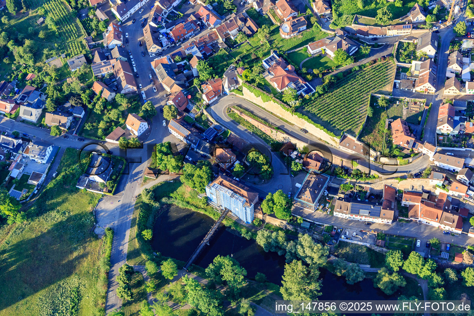 Langer Weg mit Weinberg in der Stadt und  Museum für Stadtgeschichte in Breisach am Rhein im Bundesland Baden-Württemberg, Deutschland