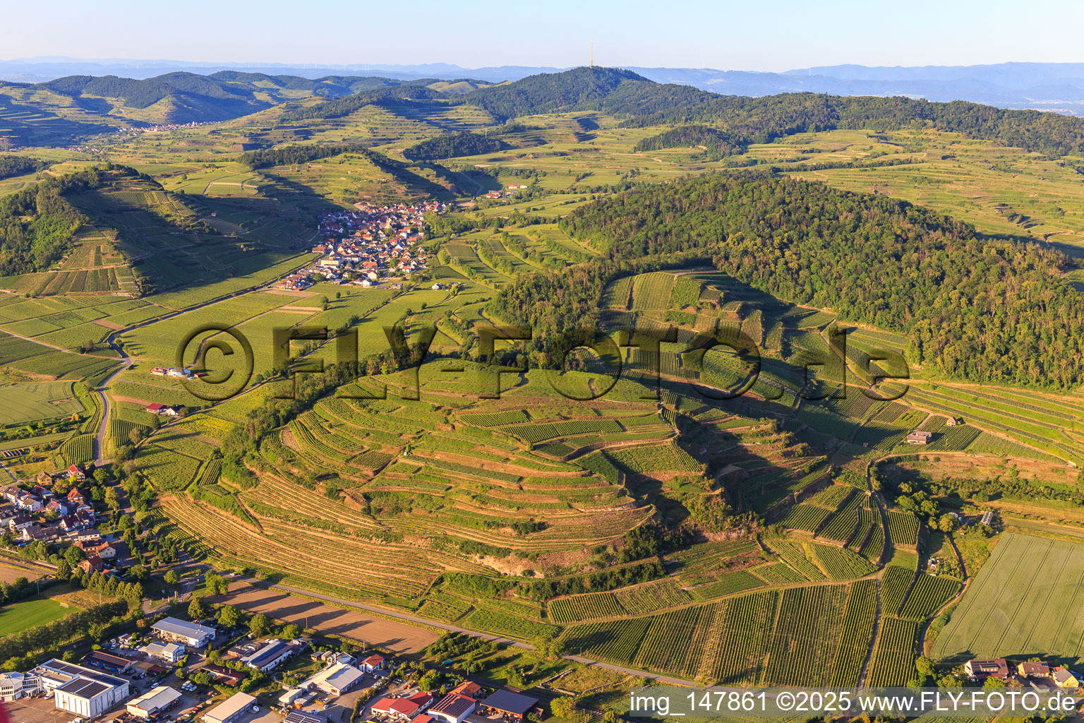 Luftbild von Weinberge am Kaiserstuhl von Westen im Ortsteil Achkarren in Vogtsburg im Kaiserstuhl im Bundesland Baden-Württemberg, Deutschland