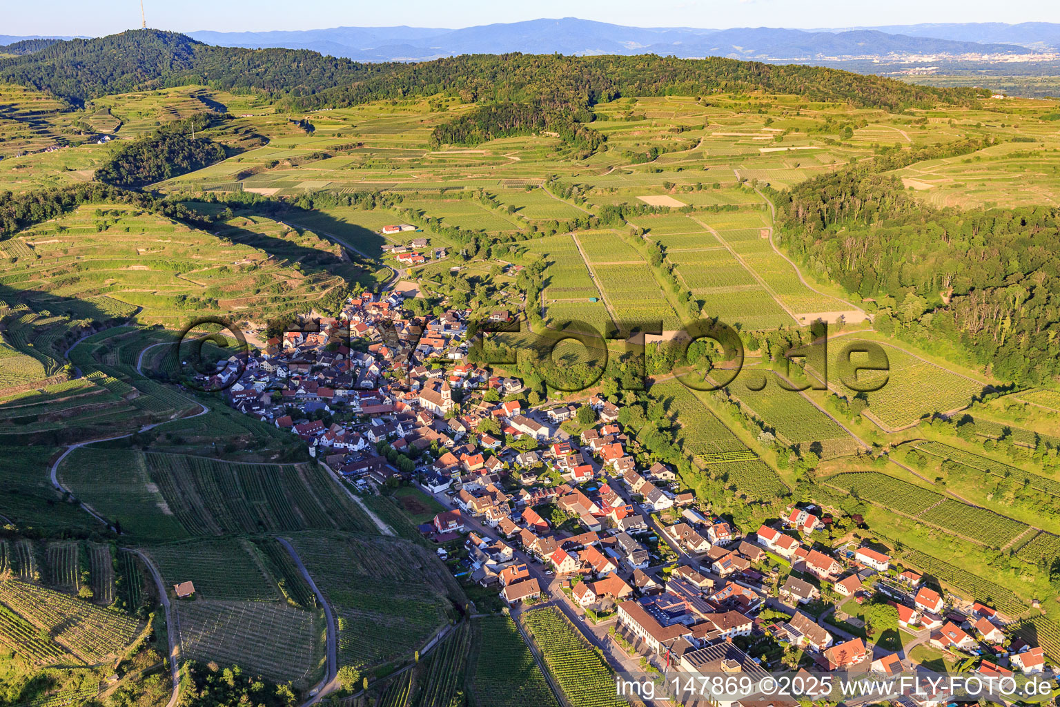 Winzerdorf im Kaiserstuhl aus Westen im Ortsteil Achkarren in Vogtsburg im Kaiserstuhl im Bundesland Baden-Württemberg, Deutschland