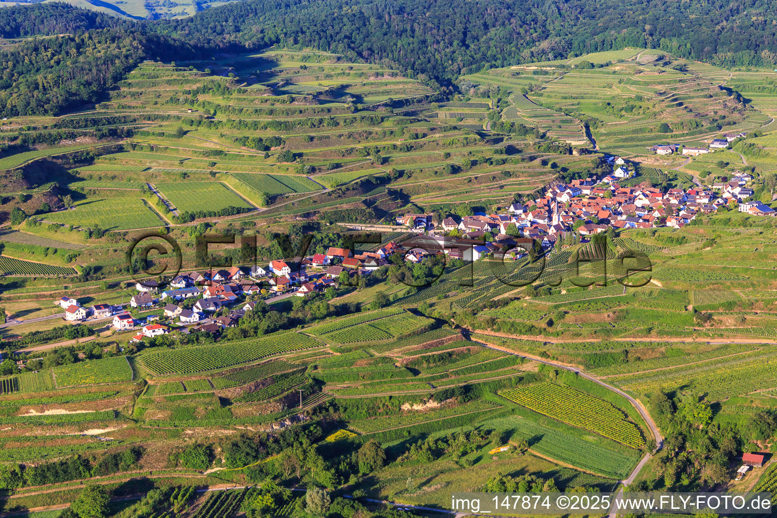 Luftbild von Winzerdorf im Kaiserstuhl aus Westen im Ortsteil Bickensohl in Vogtsburg im Kaiserstuhl im Bundesland Baden-Württemberg, Deutschland