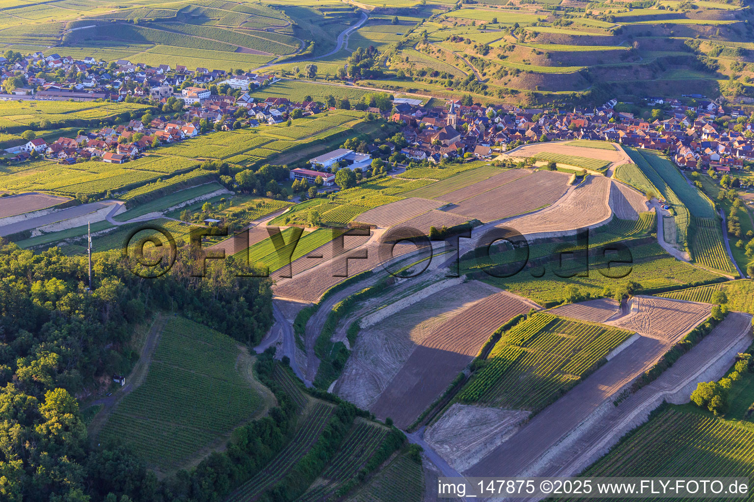 Baustelle zur Neuplanierung von Terassenweinbergen im Ortsteil Oberrotweil in Vogtsburg im Kaiserstuhl im Bundesland Baden-Württemberg, Deutschland