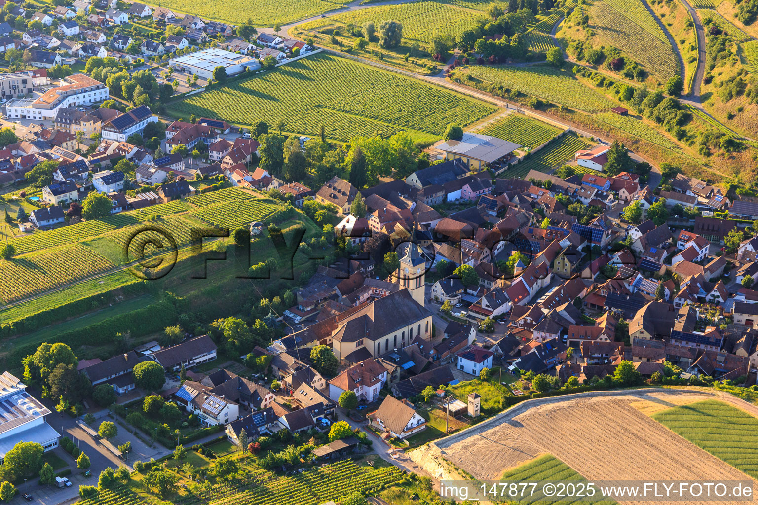 Kirche St. Johannes Baptist im Ortsteil Oberrotweil in Vogtsburg im Kaiserstuhl im Bundesland Baden-Württemberg, Deutschland