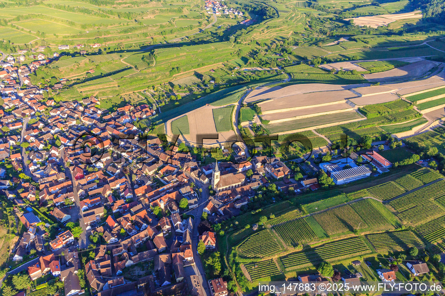Baustelle zur Neuplanierung von Terassenweinbergen im Ortsteil Oberrotweil in Vogtsburg im Kaiserstuhl im Bundesland Baden-Württemberg, Deutschland von oben