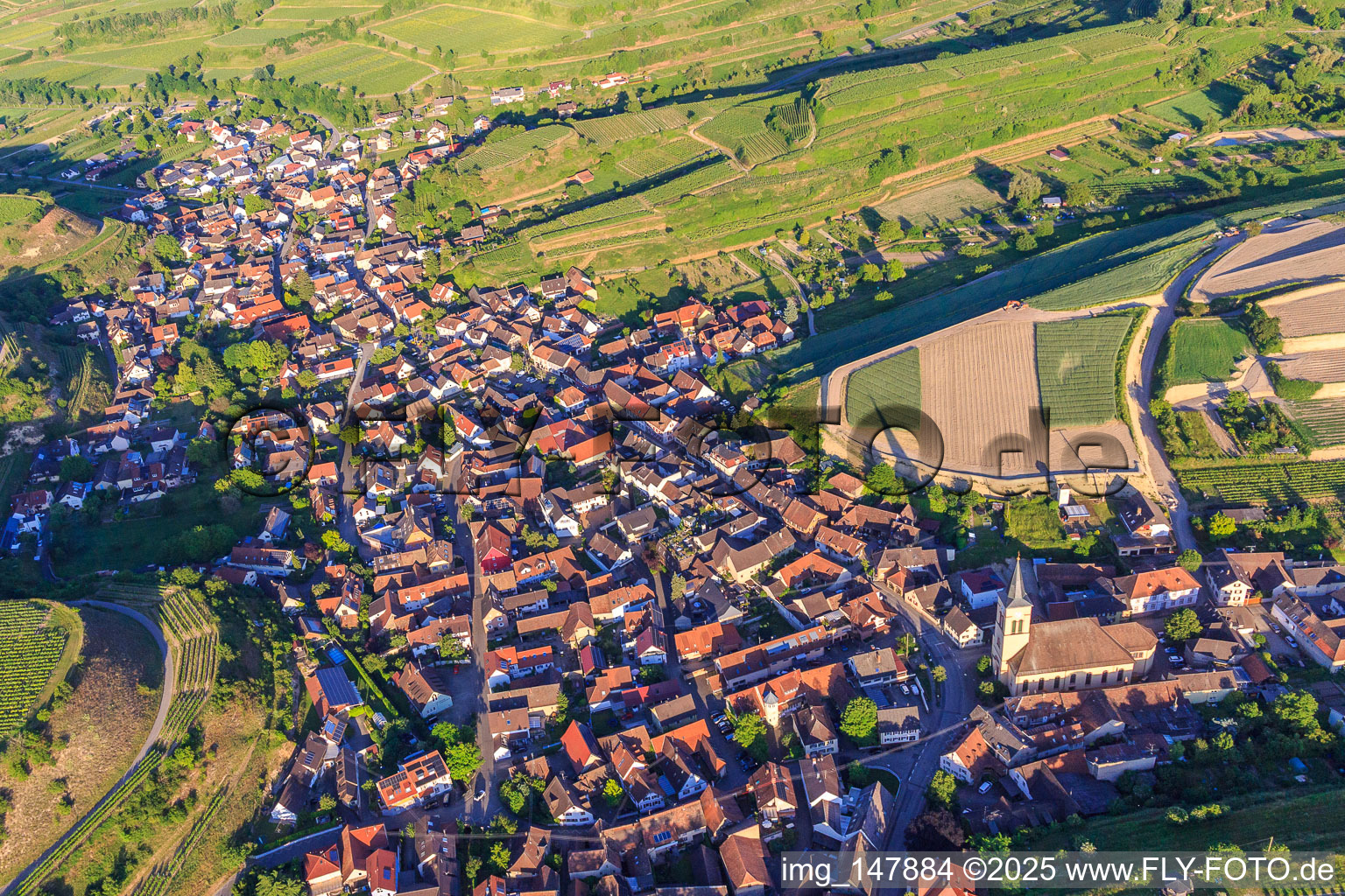 Winzerdorf im Kaiserstuhl aus Westen im Ortsteil Oberrotweil in Vogtsburg im Kaiserstuhl im Bundesland Baden-Württemberg, Deutschland