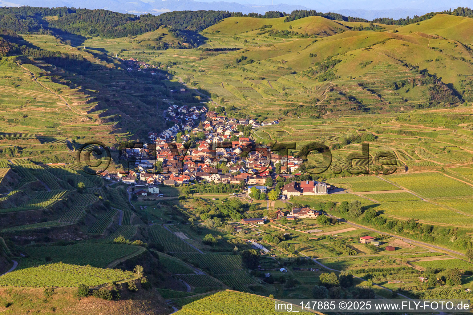 Luftbild von Winzerdorf im Kaiserstuhl aus Westen im Ortsteil Oberrotweil in Vogtsburg im Kaiserstuhl im Bundesland Baden-Württemberg, Deutschland