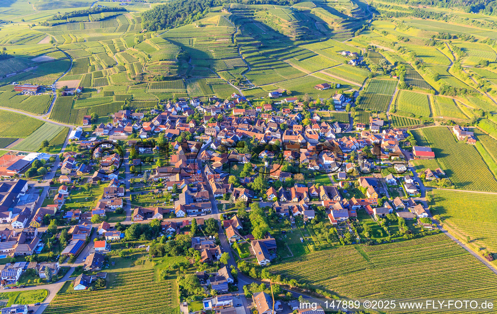 Winzerdorf im Kaiserstuhl aus Süden im Ortsteil Bischoffingen in Vogtsburg im Kaiserstuhl im Bundesland Baden-Württemberg, Deutschland