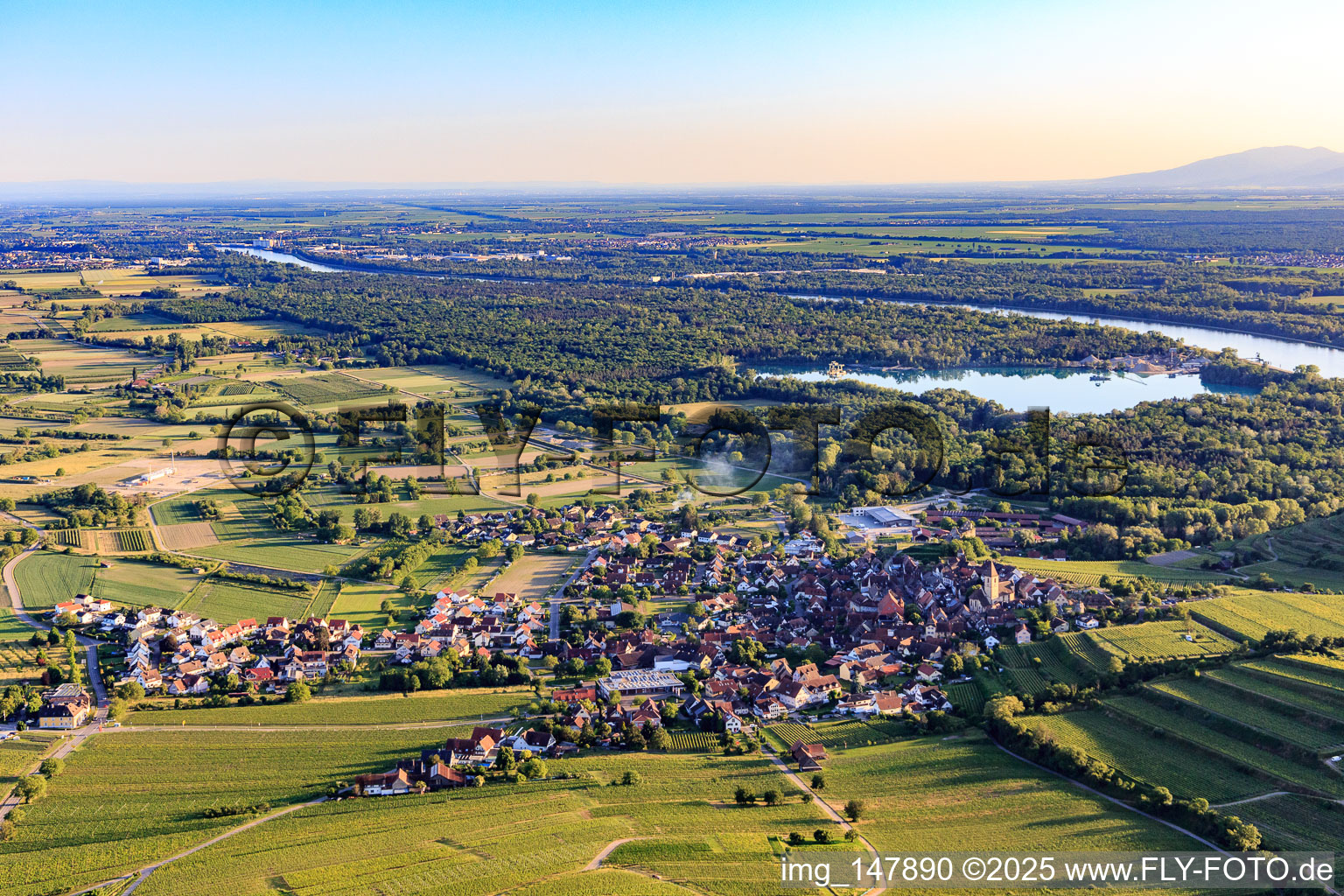 Winzerdorf im Kaiserstuhl aus Norden im Ortsteil Burkheim in Vogtsburg im Kaiserstuhl im Bundesland Baden-Württemberg, Deutschland