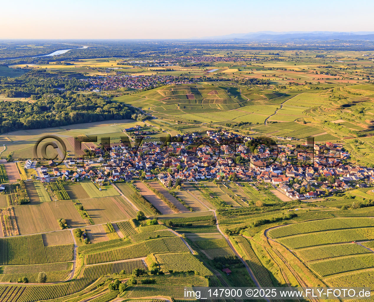 Dorfansicht aus Süden im Ortsteil Jechtingen in Sasbach am Kaiserstuhl im Bundesland Baden-Württemberg, Deutschland
