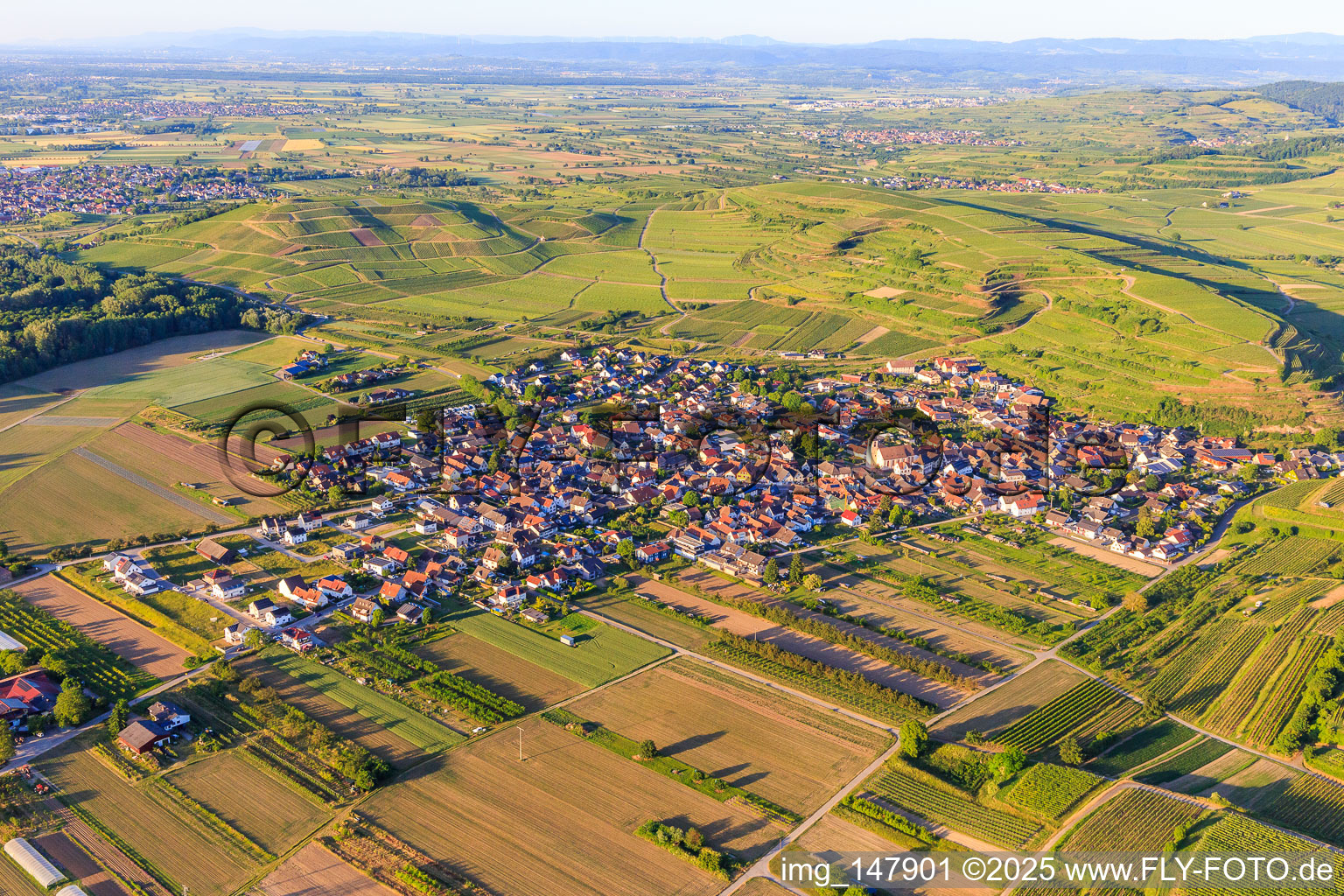 Dorfübersicht aus Süden im Ortsteil Jechtingen in Sasbach am Kaiserstuhl im Bundesland Baden-Württemberg, Deutschland